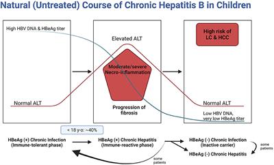 Translational Strategies to Eliminate Chronic Hepatitis B in Children: Prophylaxis and Management in East Asian Countries